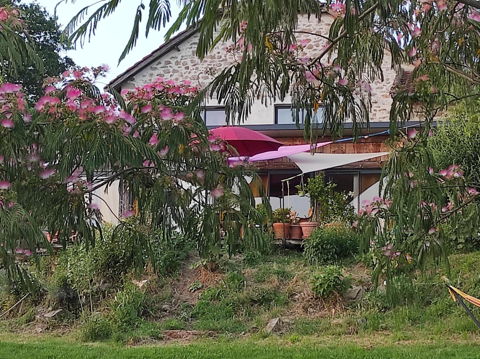 Bout De Cote Bed & Breakfast Lacam-d'Ourcet Luaran gambar