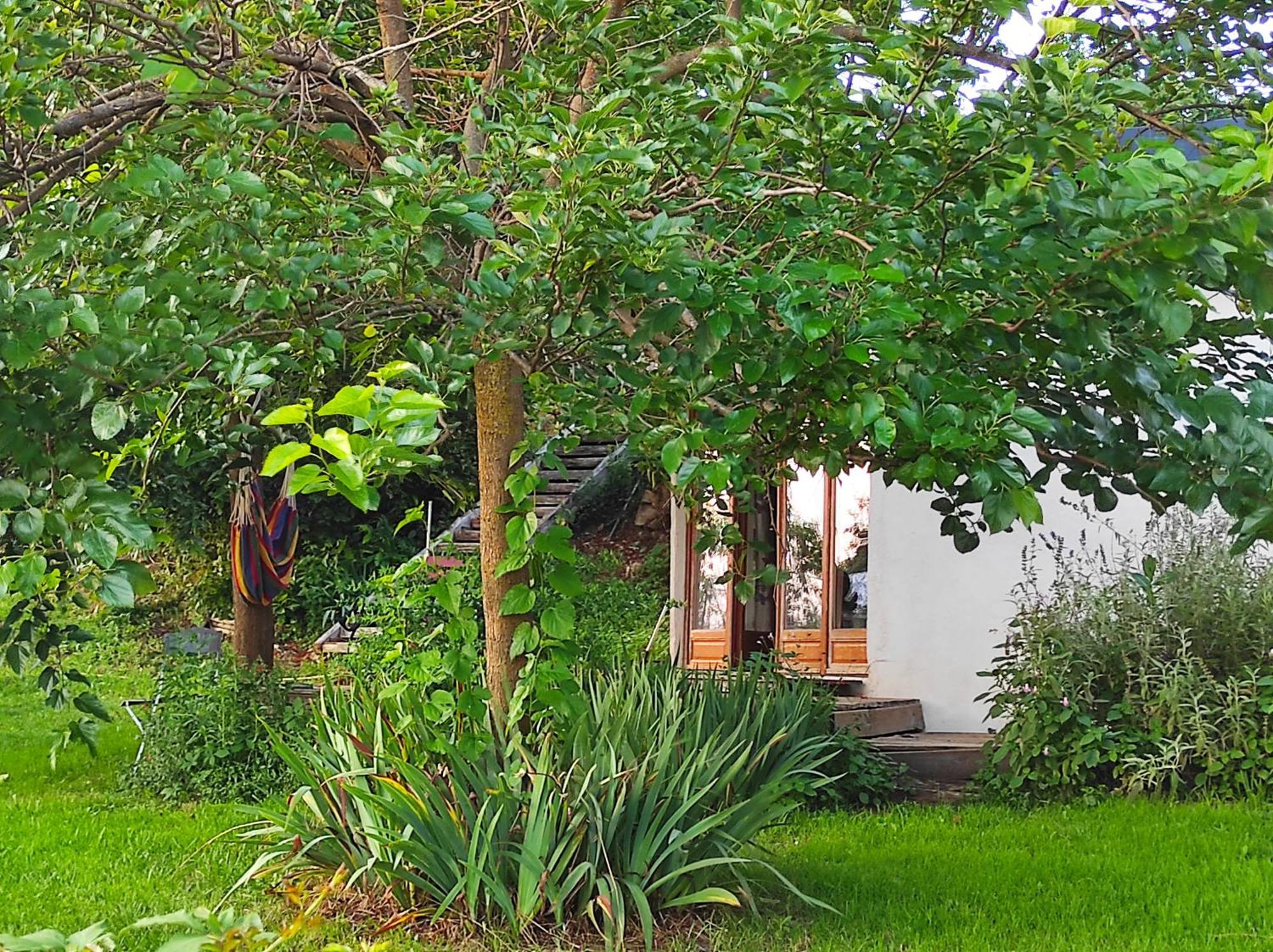 Bout De Cote Bed & Breakfast Lacam-d'Ourcet Luaran gambar